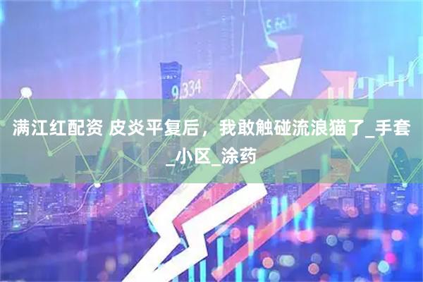 满江红配资 皮炎平复后，我敢触碰流浪猫了_手套_小区_涂药