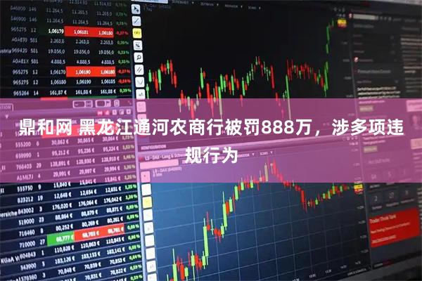 鼎和网 黑龙江通河农商行被罚888万，涉多项违规行为