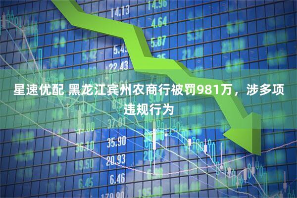 星速优配 黑龙江宾州农商行被罚981万，涉多项违规行为