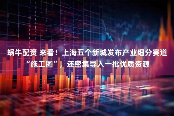 蜗牛配资 来看！上海五个新城发布产业细分赛道“施工图”，还密集导入一批优质资源