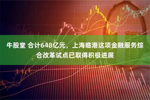 牛股堂 合计648亿元，上海临港这项金融服务综合改革试点已取得积极进展
