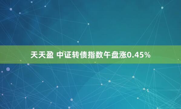 天天盈 中证转债指数午盘涨0.45%