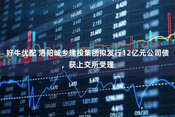 好牛优配 洛阳城乡建投集团拟发行12亿元公司债，获上交所受理