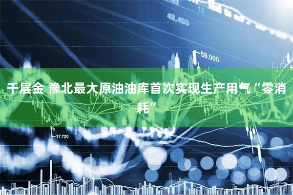 千层金 豫北最大原油油库首次实现生产用气“零消耗”
