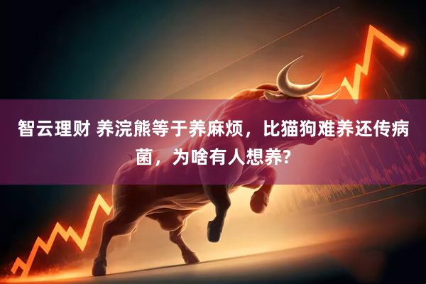智云理财 养浣熊等于养麻烦，比猫狗难养还传病菌，为啥有人想养?