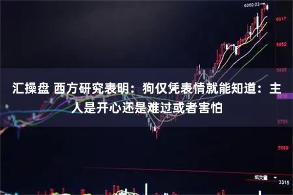 汇操盘 西方研究表明：狗仅凭表情就能知道：主人是开心还是难过或者害怕